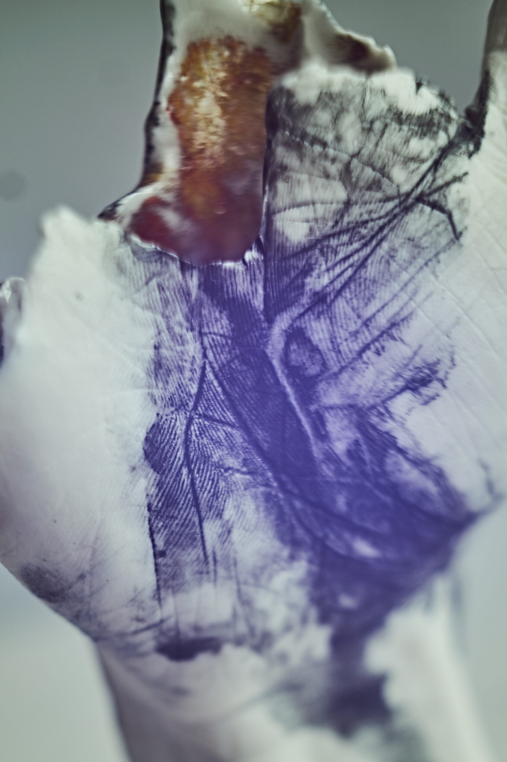 Hand 1 finger // Vase // h1fvsc-o73